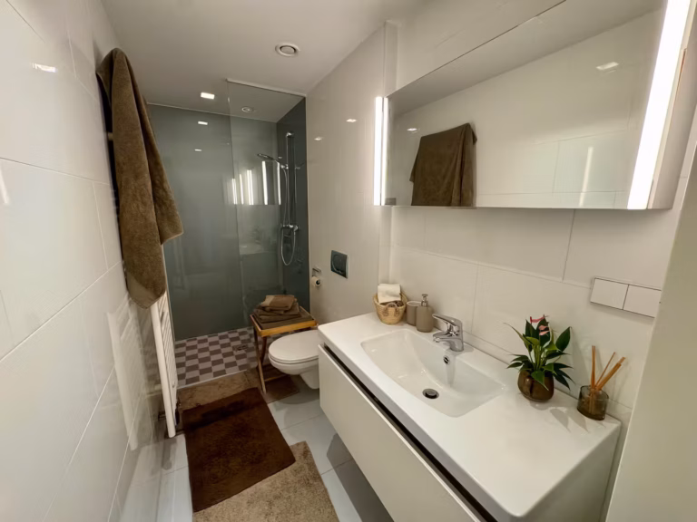 modernes Badezimmer mit Dusche im Riverside Apartment Vienna