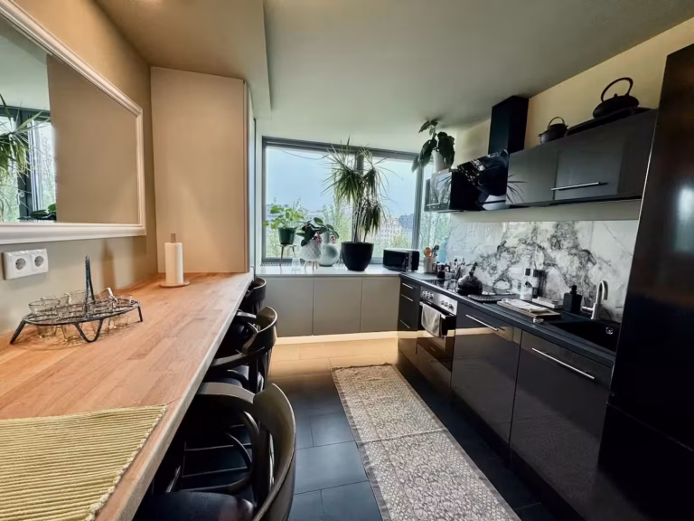 moderne Küche mit Speisentheke im Riverside Apartment Vienna