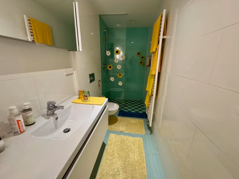 Badezimmer mit Dusche im Riverside Apartment Vienna